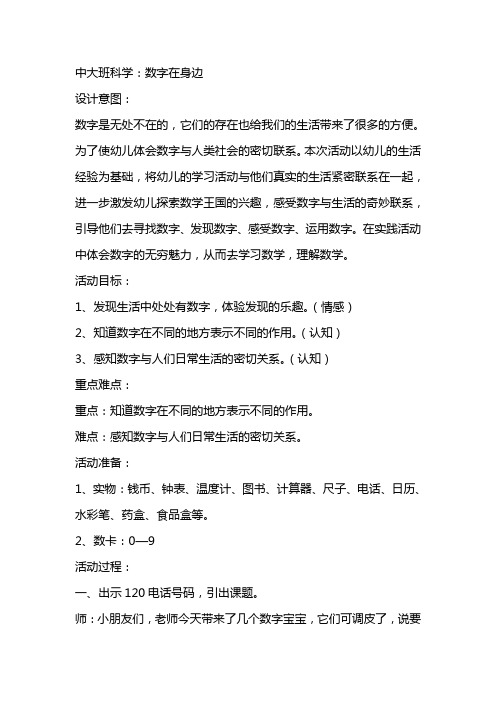 中大班科学《数字在身边》
