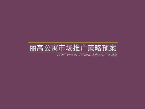 公寓市场推广策略预案