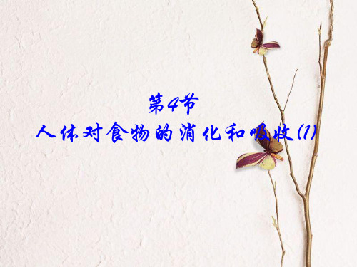 学年七年级生物上册 3.5.4 人体对食物的消化吸收课件1 (新版)苏科版.pptx