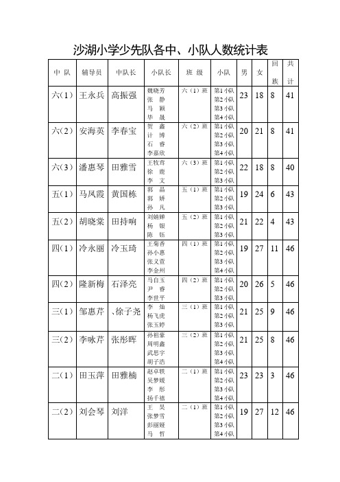 沙湖小学少先队各中