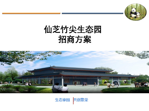 生态园招商方案.pptx