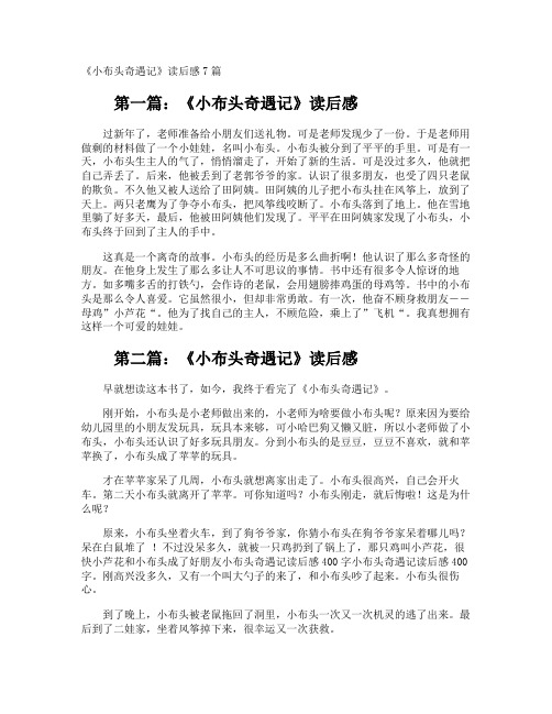 《小布头奇遇记》读后感