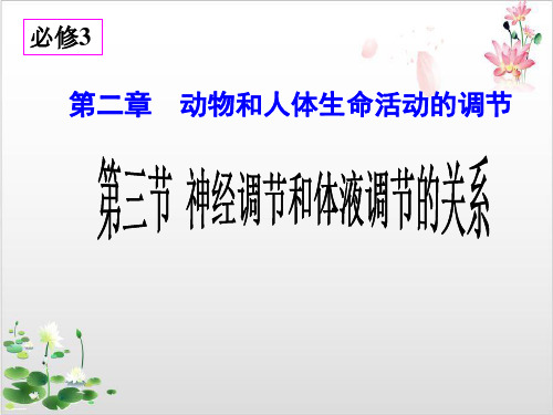 人教版高中生物必修三神经调节和体液调节的关系-ppt精品课件1