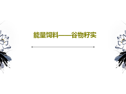 能量饲料——谷物籽实共61页