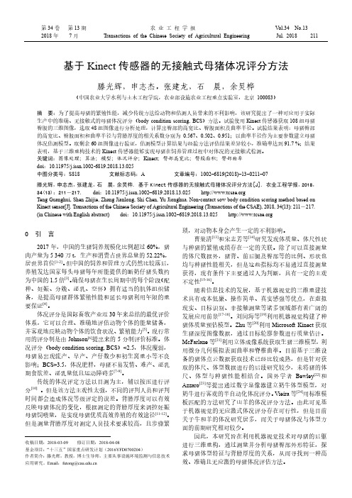 基于Kinect传感器的无接触式母猪体况评分方法