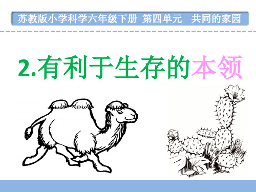 苏教版六年级科学下册第四单元《有利于生存的本领》优秀课件