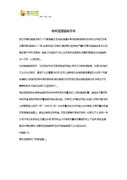 如何清理猫咪牙齿
