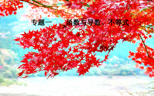 高考数学二轮复习 第二部分 专题一 函数与导数、不等式 第5讲 导数的综合应用课件 理