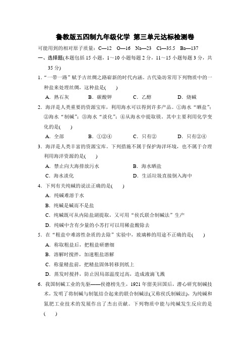 鲁教版五四制九年级化学 第三单元 海水中的化学 达标检测试卷(含答案)