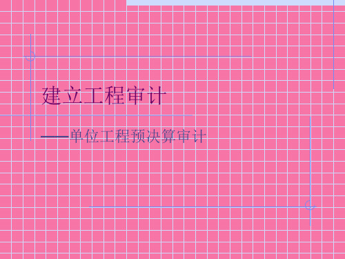 单位工程预决算审计ppt课件