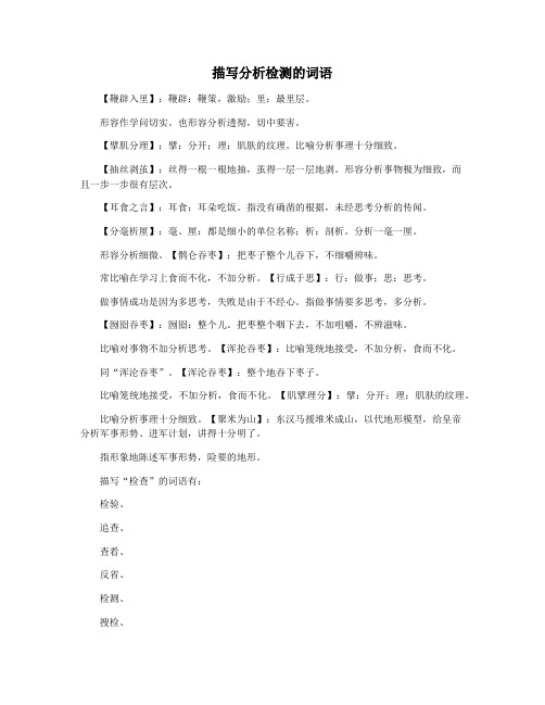 描写分析检测的词语