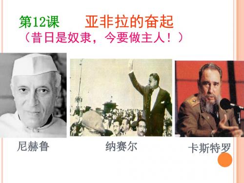 亚非拉的奋起PPT课件7 人教版