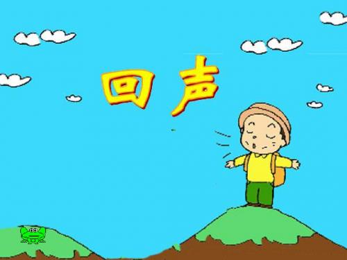 31回声