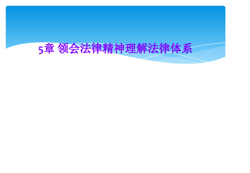 5章 领会法律精神理解法律体系