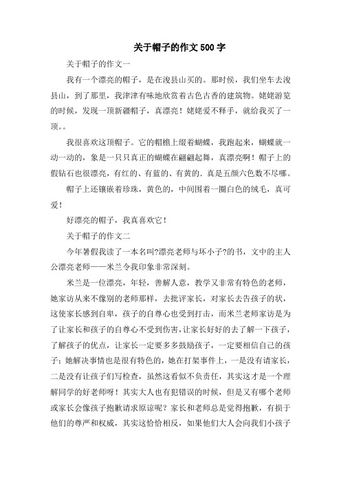帽子的作文500字范文