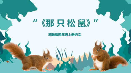 那只松鼠PPT课件