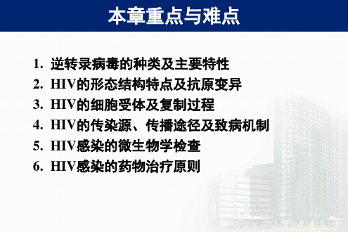 逆转录病毒