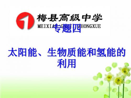 太阳能、生物质能与氢能的利用PPT课件