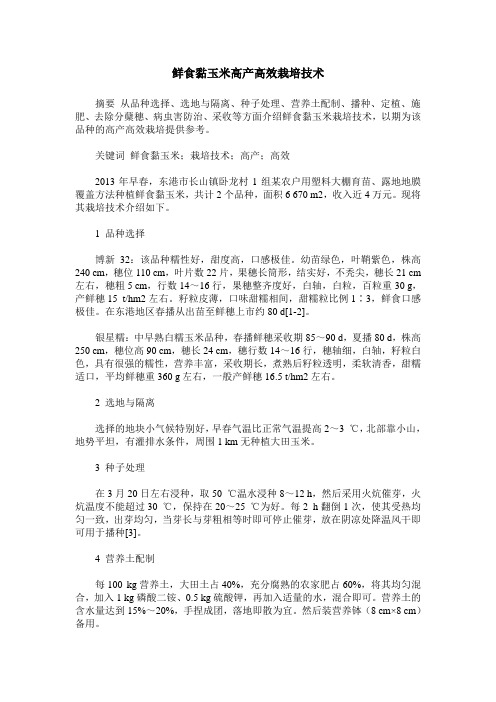 鲜食黏玉米高产高效栽培技术