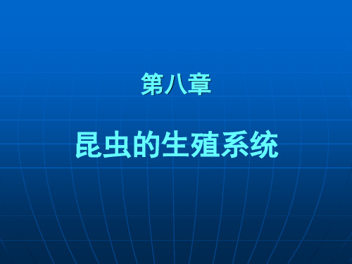 第八章昆虫的生殖系统解析