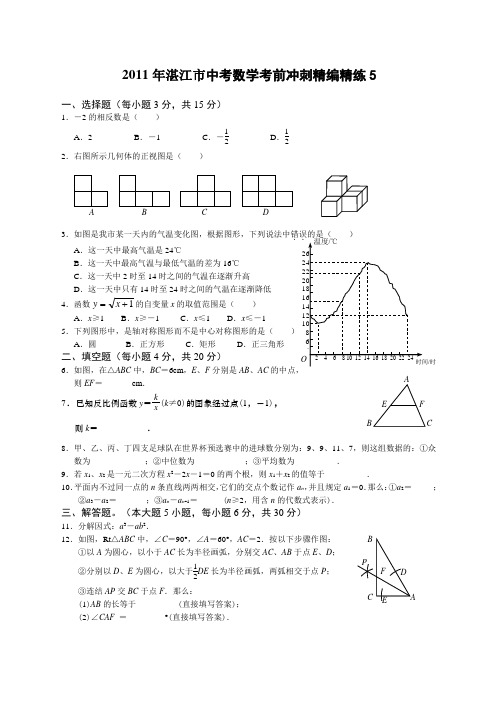 备战中考年湛江市中考数学考前冲刺精编精练.新课标.