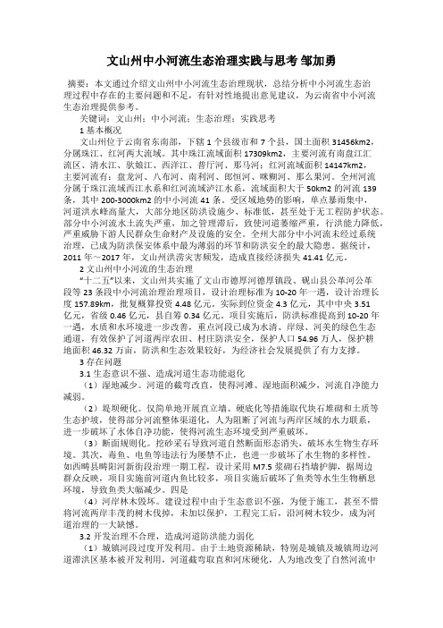 文山州中小河流生态治理实践与思考 邹加勇