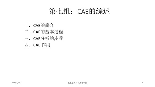 CAE的综述ppt课件