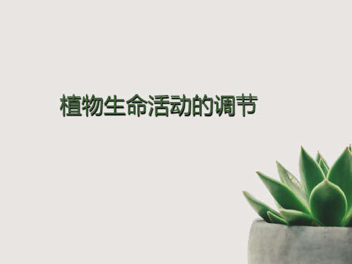 浙教版八年级科学上册3.1植物生命活动调节