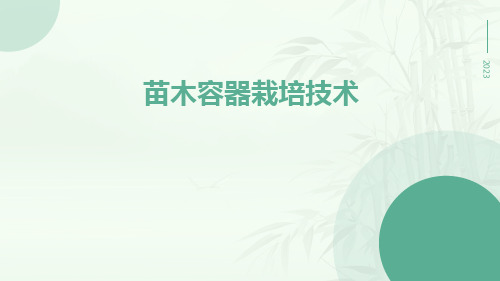 苗木容器栽培技术