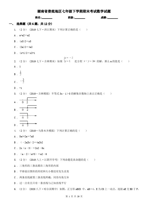 湖南省娄底地区七年级下学期期末考试数学试题