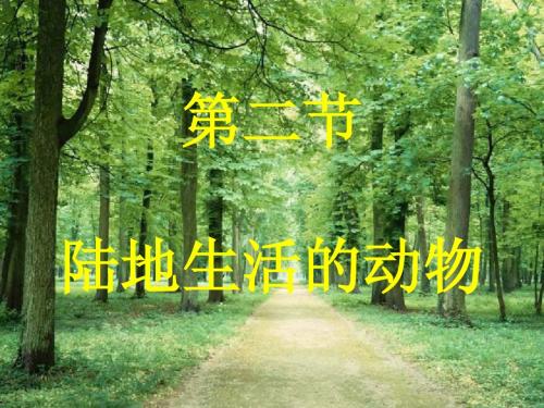 第二节陆地生活的动物