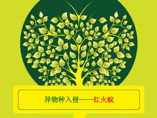 培训教材：异物种入侵——红火蚁