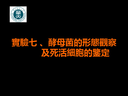 微生物学实验课件-酵母菌形态的观察