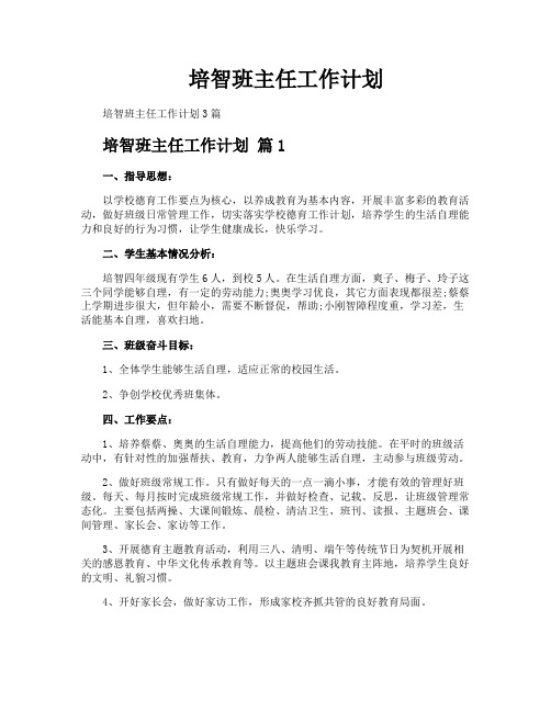 培智班主任工作计划