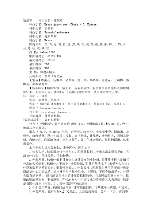 通泉草种中文名