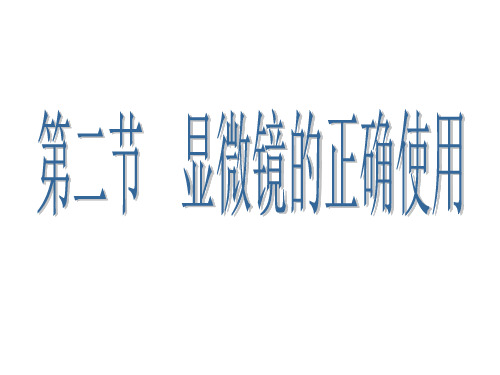 生物课件   显微镜的正确使用