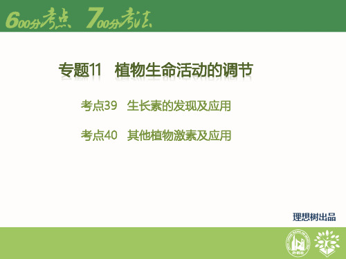 【理想树600分考点700分考法】2016高考生物二轮课件：专题11-植物生命活动的调节