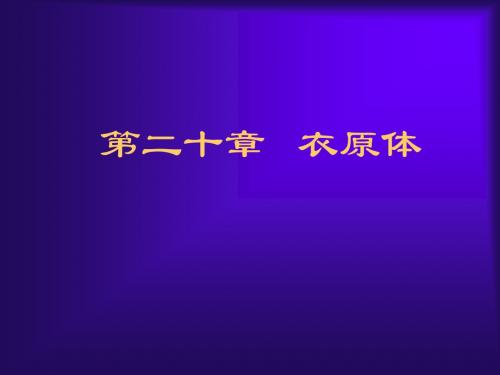 20衣原体21支原体22立克次体汇总