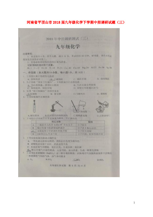 河南省平顶山市九年级化学下学期中招调研试题(三)(扫