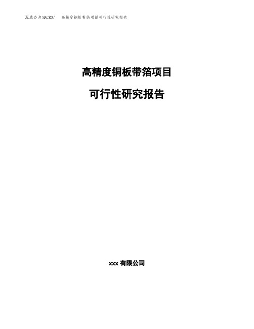 高精度铜板带箔项目可行性研究报告