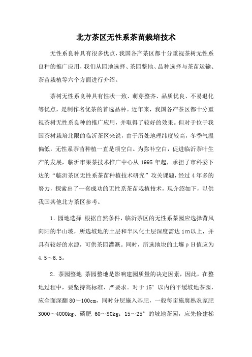 北方茶区无性系茶苗栽培技术