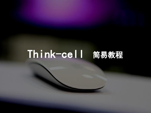 2thinkcell_简易使用教程.