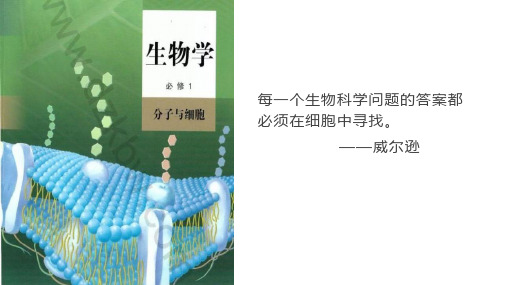 细胞是生命活动的基本单位ppt课件