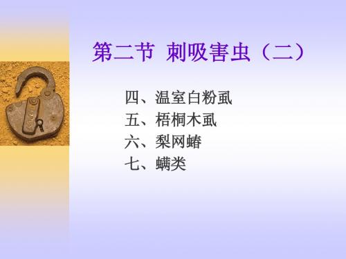 刺吸害2