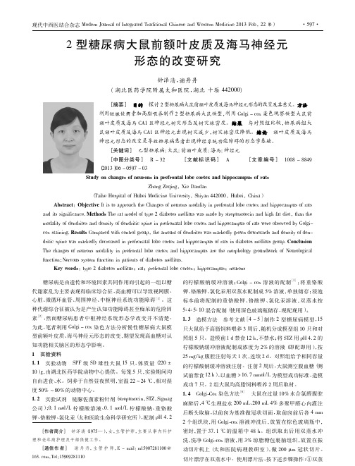 2型糖尿病大鼠前额叶皮质及海马神经元形态的改变研究钟泽清