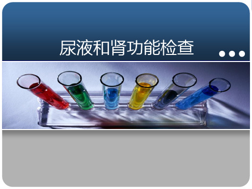 尿液和肾功能检查 (诊断学)