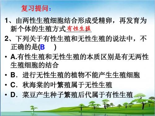 21.3昆虫的生殖与发育(共36张ppt)