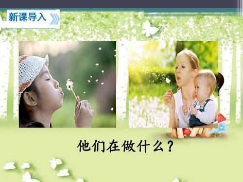 3《植物妈妈有办法》  教学课件(部编版小学二年级语文上册)