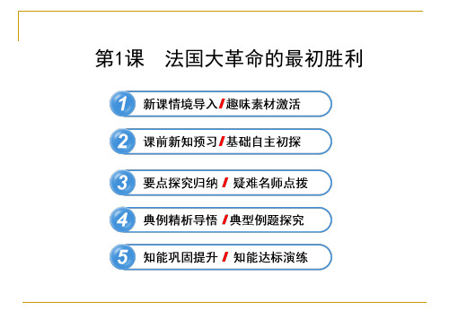 5.1 法国大革命的最初胜利 课件(人教版选修2)