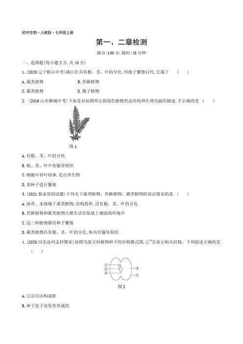 2022人教版初中生物七年级上册练习题--第三单元 生物圈中的绿色植物 第一、二章检测